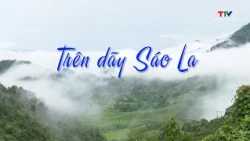 The Party in Everyday Life 10/03/2026 | Thanh Hoa Television